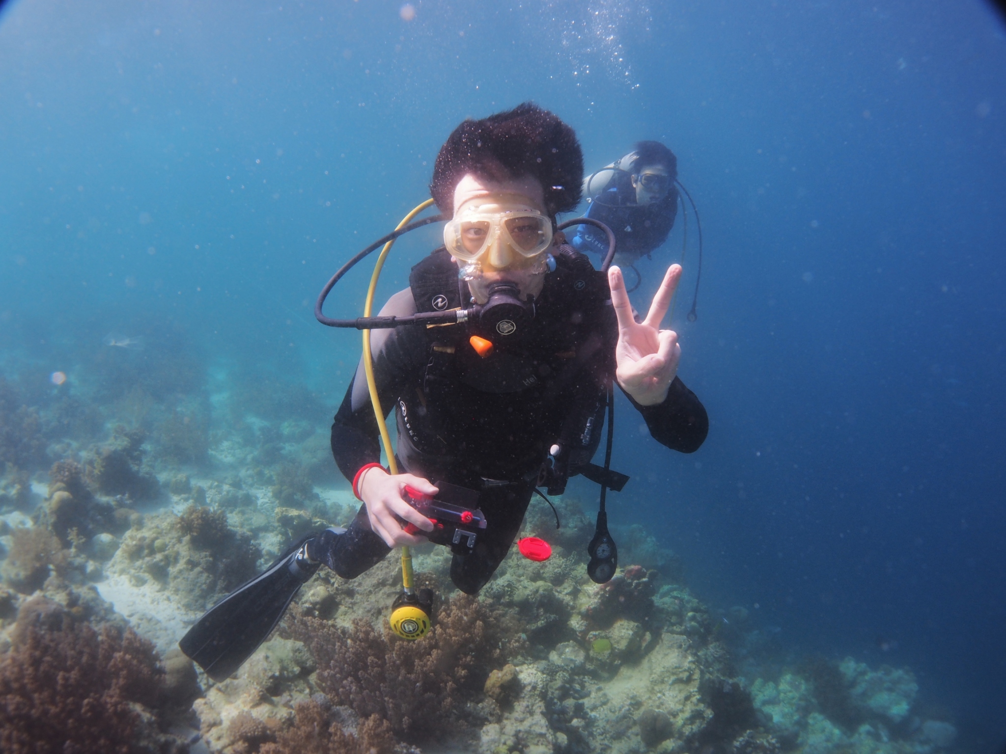 【ダイビングのライセンスを取得しよう☼】世界を巡る準備として