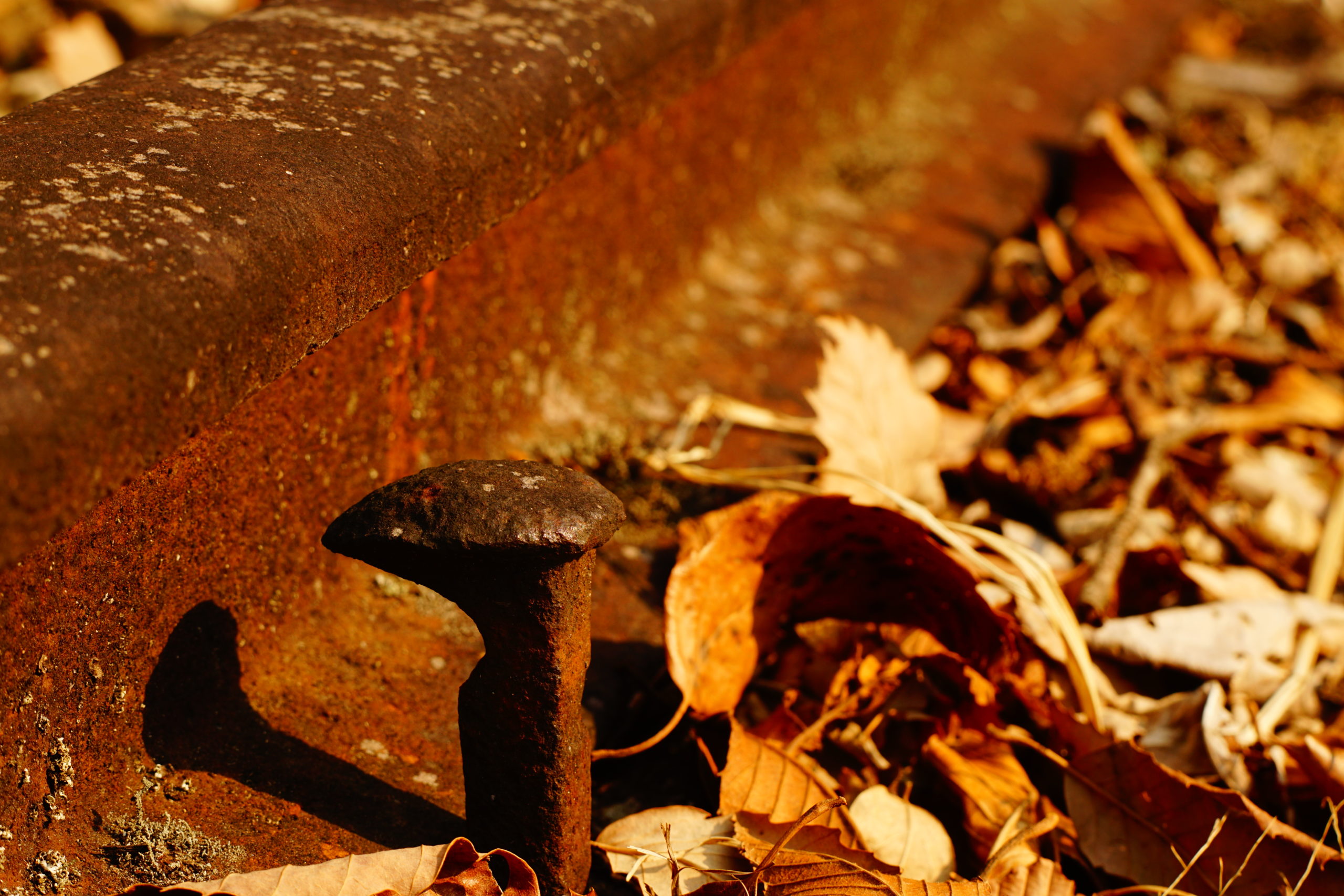 【旅への不安】そして自分の気持ちを保つもの