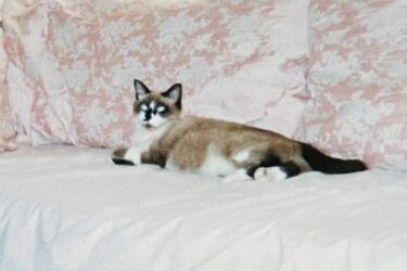 【コロナで大変だね】とよく言われるけど、本当にそうだろうか？