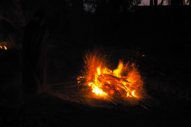 【Kingdom of Saudi Arabia episode 2】サウジアラビアへ再入国　世界最大のオアシスがある街 Al Hofuf